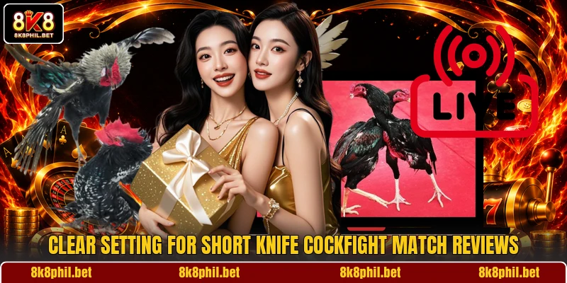 Clear setting for short knife cockfight match reviews