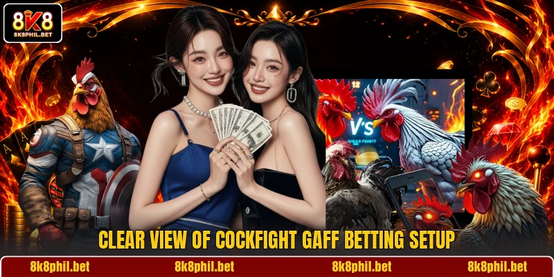 Clear view of Cockfight Gaff betting setup