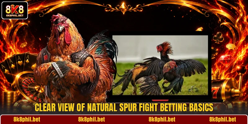 Clear view of Natural Spur Fight betting basics Clear view of Natural Spur Fight betting basics