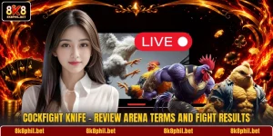 Cockfight Knife - Review Arena Terms And Fight Results