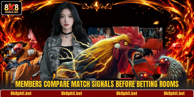 Members compare match signals before betting rooms