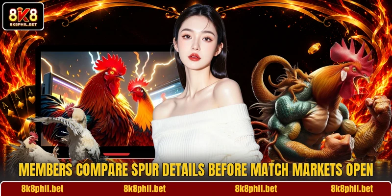 Members compare spur details before match markets open
