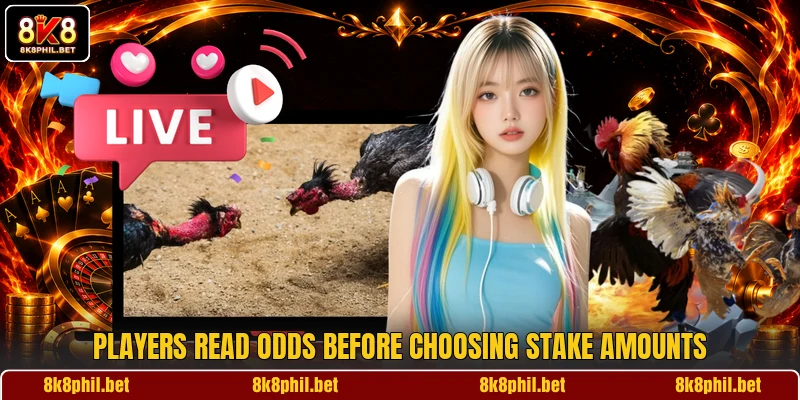 Players read odds before choosing stake amounts