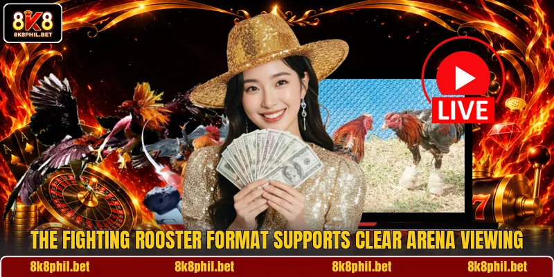 The Fighting Rooster format supports clear arena viewing The Fighting Rooster format supports clear arena viewing